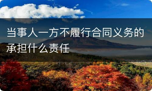 当事人一方不履行合同义务的承担什么责任