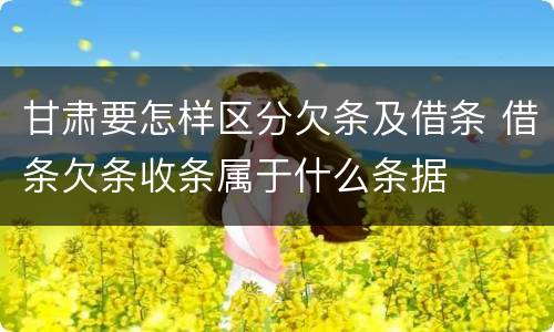 甘肃要怎样区分欠条及借条 借条欠条收条属于什么条据