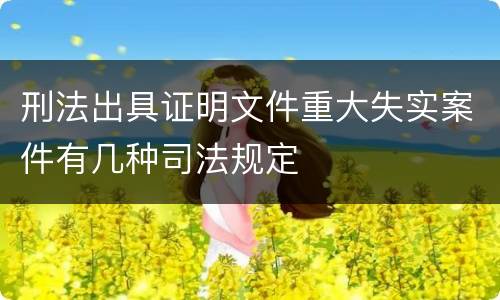 刑法出具证明文件重大失实案件有几种司法规定
