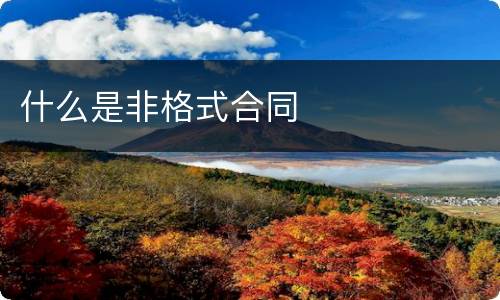 什么是非格式合同