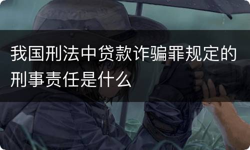 我国刑法中贷款诈骗罪规定的刑事责任是什么