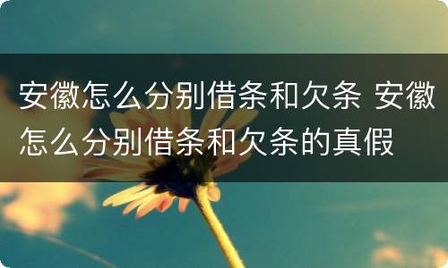 安徽怎么分别借条和欠条 安徽怎么分别借条和欠条的真假