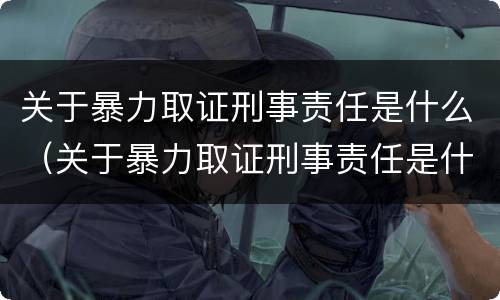 关于暴力取证刑事责任是什么（关于暴力取证刑事责任是什么案件）