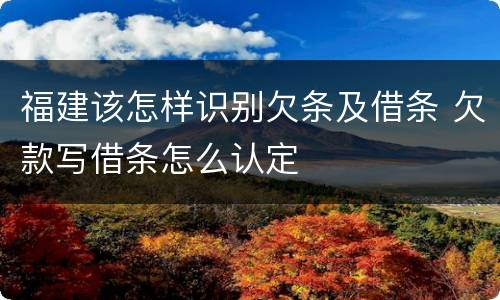 福建该怎样识别欠条及借条 欠款写借条怎么认定