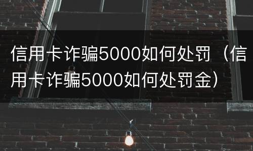 信用卡诈骗5000如何处罚（信用卡诈骗5000如何处罚金）