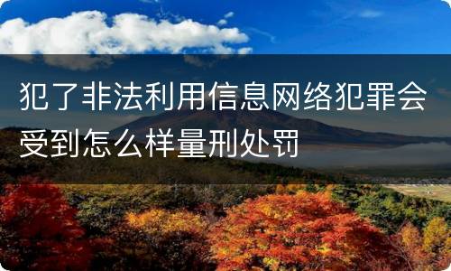 犯了非法利用信息网络犯罪会受到怎么样量刑处罚