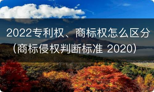 2022专利权、商标权怎么区分（商标侵权判断标准 2020）