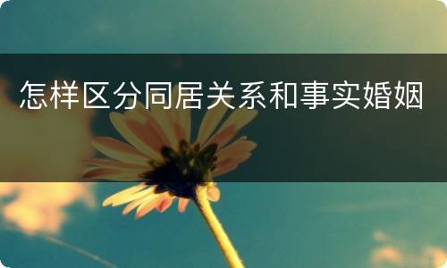 怎样区分同居关系和事实婚姻