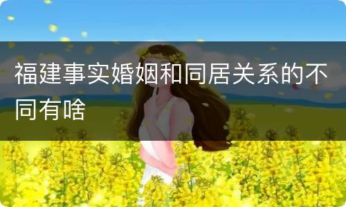 福建事实婚姻和同居关系的不同有啥