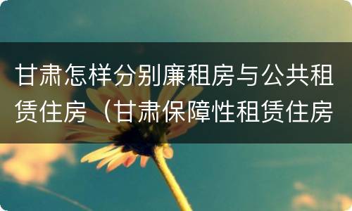 甘肃怎样分别廉租房与公共租赁住房（甘肃保障性租赁住房）