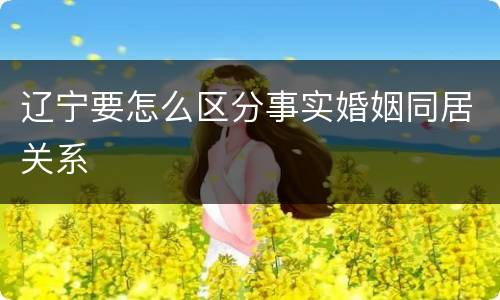 辽宁要怎么区分事实婚姻同居关系