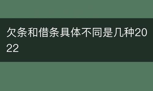 欠条和借条具体不同是几种2022