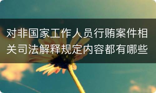 对非国家工作人员行贿案件相关司法解释规定内容都有哪些