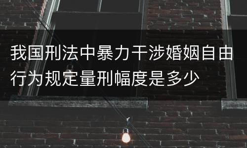 我国刑法中暴力干涉婚姻自由行为规定量刑幅度是多少