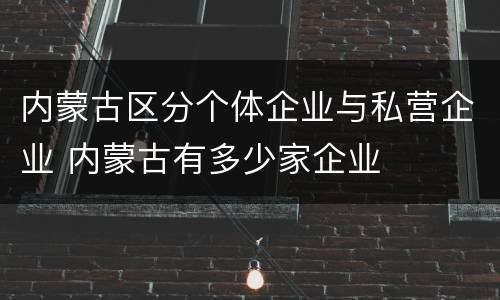 内蒙古区分个体企业与私营企业 内蒙古有多少家企业