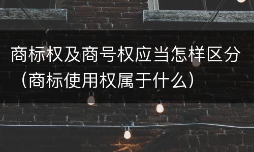 商标权及商号权应当怎样区分（商标使用权属于什么）