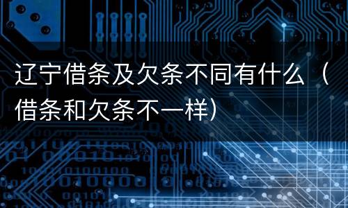 辽宁借条及欠条不同有什么（借条和欠条不一样）