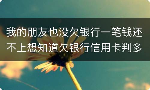 我的朋友也没欠银行一笔钱还不上想知道欠银行信用卡判多少年