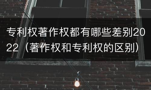 专利权著作权都有哪些差别2022（著作权和专利权的区别）