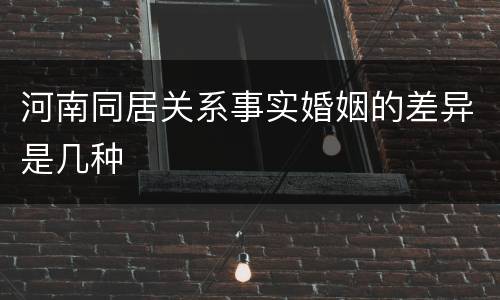河南同居关系事实婚姻的差异是几种
