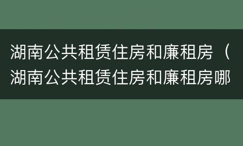 湖南公共租赁住房和廉租房（湖南公共租赁住房和廉租房哪个好）