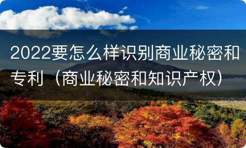 2022要怎么样识别商业秘密和专利（商业秘密和知识产权）