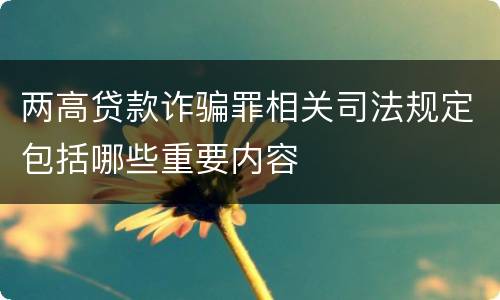 两高贷款诈骗罪相关司法规定包括哪些重要内容