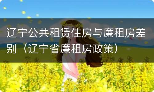 辽宁公共租赁住房与廉租房差别（辽宁省廉租房政策）