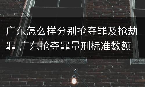 广东怎么样分别抢夺罪及抢劫罪 广东抢夺罪量刑标准数额