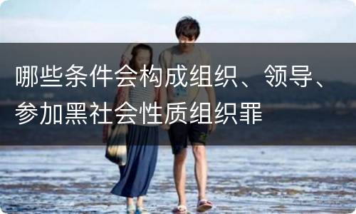 哪些条件会构成组织、领导、参加黑社会性质组织罪