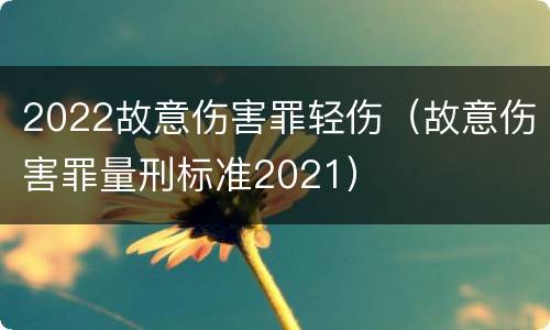 2022故意伤害罪轻伤（故意伤害罪量刑标准2021）
