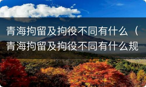 青海拘留及拘役不同有什么（青海拘留及拘役不同有什么规定）