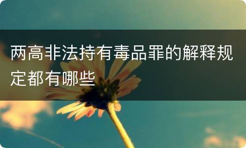 两高非法持有毒品罪的解释规定都有哪些