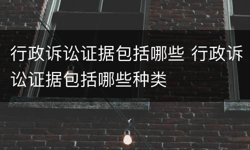 行政诉讼证据包括哪些 行政诉讼证据包括哪些种类