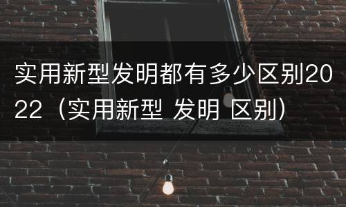 实用新型发明都有多少区别2022（实用新型 发明 区别）