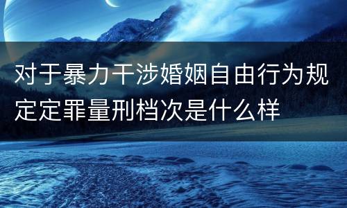 对于暴力干涉婚姻自由行为规定定罪量刑档次是什么样