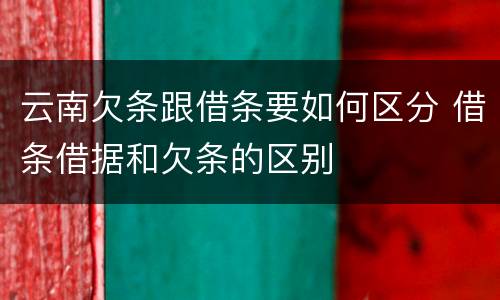 云南欠条跟借条要如何区分 借条借据和欠条的区别