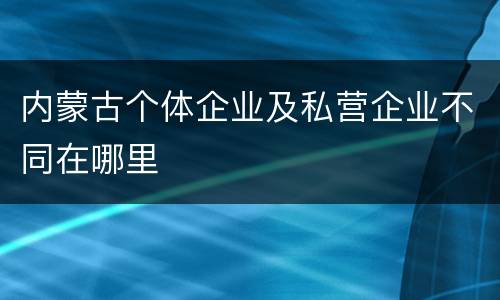 内蒙古个体企业及私营企业不同在哪里
