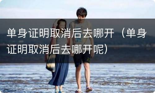 单身证明取消后去哪开（单身证明取消后去哪开呢）