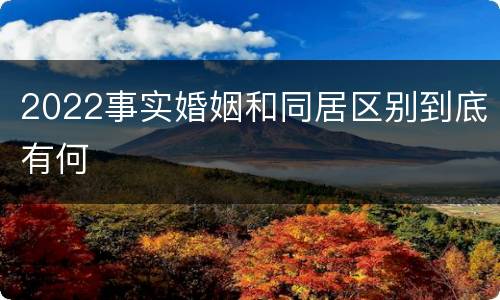 2022事实婚姻和同居区别到底有何