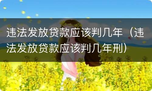 违法发放贷款应该判几年（违法发放贷款应该判几年刑）