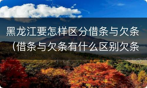 黑龙江要怎样区分借条与欠条（借条与欠条有什么区别欠条怎么写）