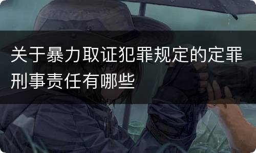 关于暴力取证犯罪规定的定罪刑事责任有哪些