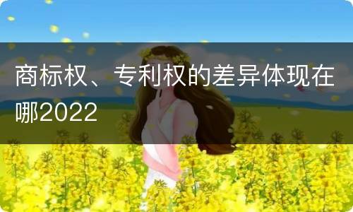 商标权、专利权的差异体现在哪2022