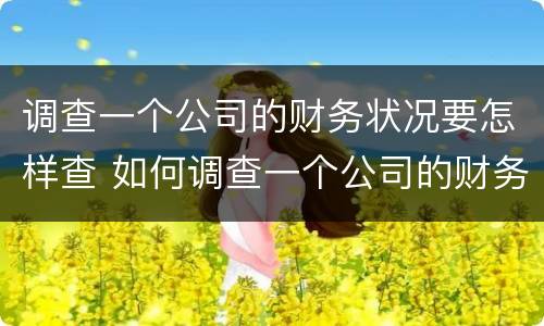 调查一个公司的财务状况要怎样查 如何调查一个公司的财务状况