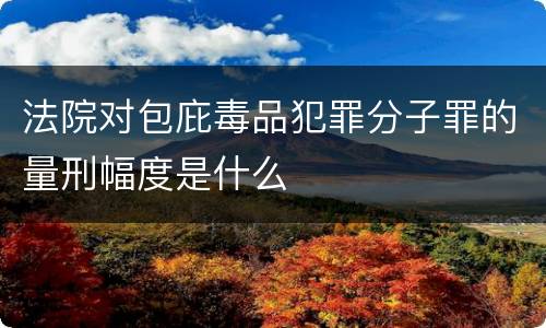 法院对包庇毒品犯罪分子罪的量刑幅度是什么