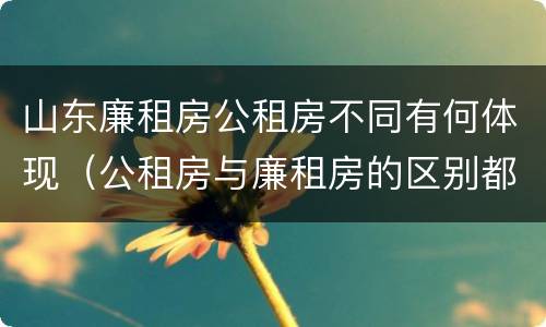 山东廉租房公租房不同有何体现（公租房与廉租房的区别都在此,别再搞错了!）