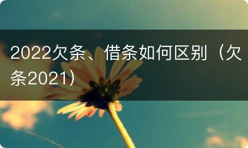2022欠条、借条如何区别（欠条2021）
