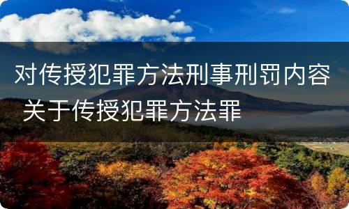 对传授犯罪方法刑事刑罚内容 关于传授犯罪方法罪