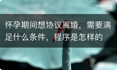 怀孕期间想协议离婚，需要满足什么条件，程序是怎样的